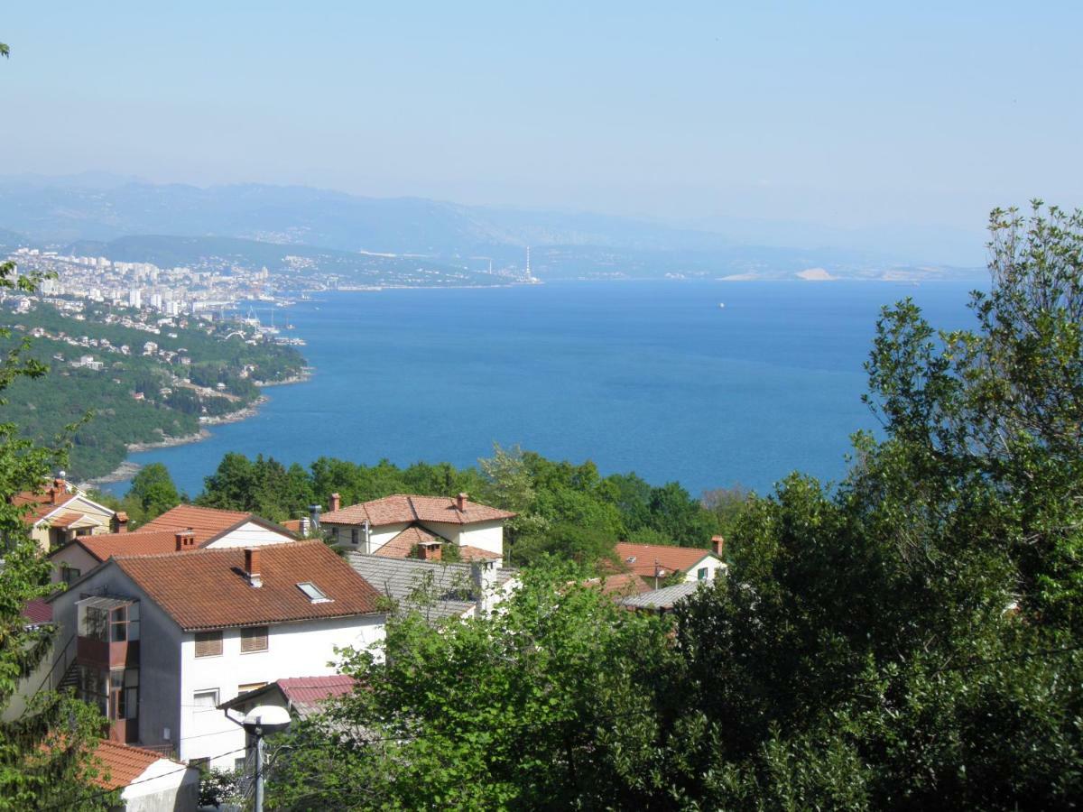 Apartment Gogo Opatija Exterior photo